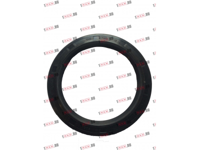 Сальник 100х130х12 Европа ЕВРОПА 030.214-00A фото 1 Армавир